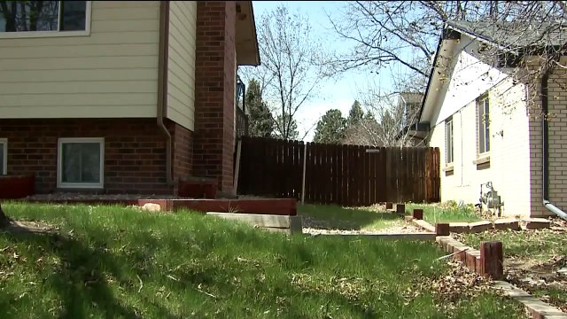 Dogs That Went Missing During Windstorm Reunited With Owner