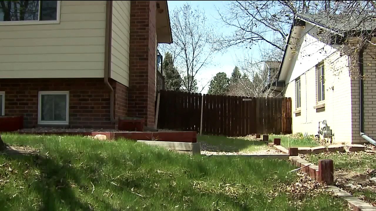 Dogs That Went Missing During Windstorm Reunited With Owner