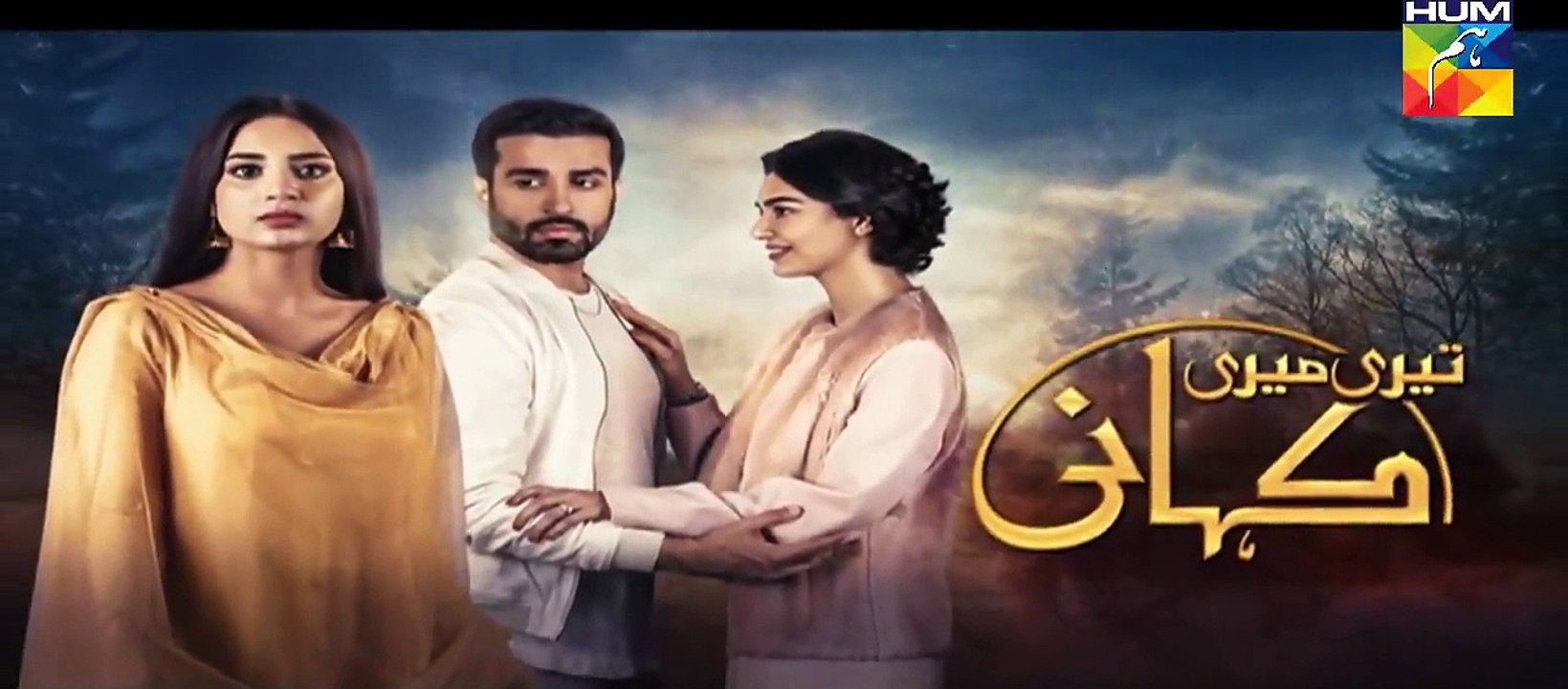 Teri Meri Kahani Episode #19 Promo HUM TV Drama - dailymotion