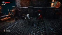 Witcher 3: King Radovid Boss Fight (Hard Mode) (4K 60fps)