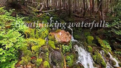 Relaxation Channel - Subscribe! New Videos Every Week!