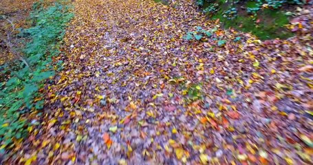 Cevahir Karaca Yürü Be Hey Yalan Dünya