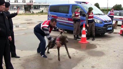 Jandarmadan 'barkod okuyucu cihazla' uygulama - BURSA/ÇANAKKALE