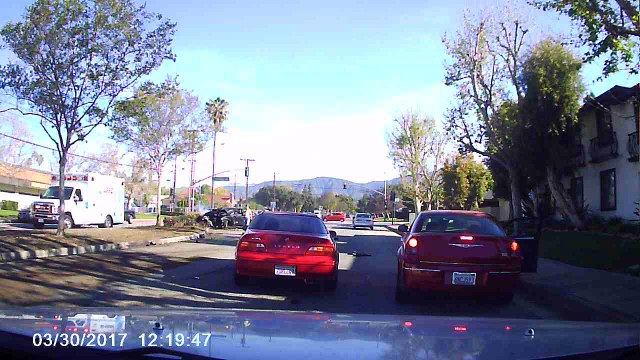 Auto Wreck Flips Tree
