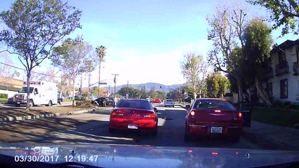 Auto Wreck Flips Tree