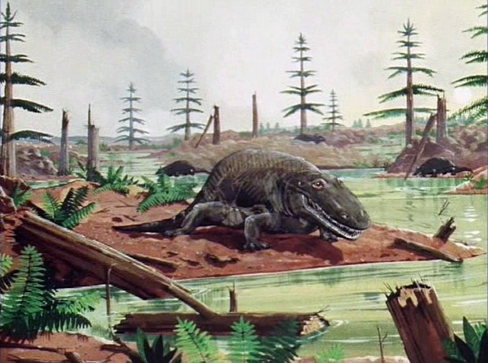 David Attenborough - Élet A Földön - 06