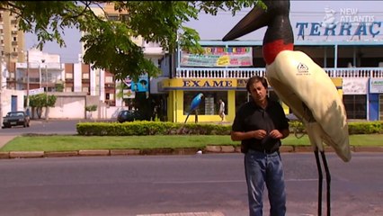 Brazil: Protected Nature (part 1/5)