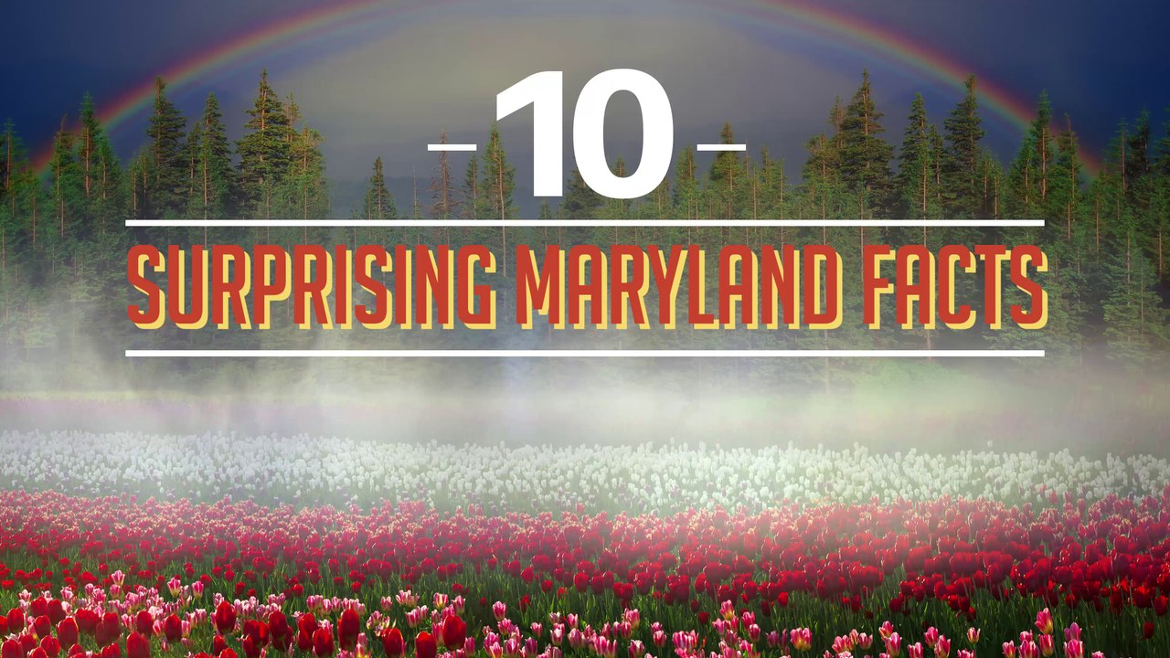 10 Surprising Maryland Facts