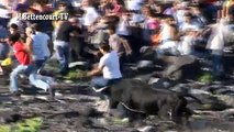 Touradas Engraçadas para Rir - Funny Videos 2016 - Best Dailymotion videos - DAILYMOTION