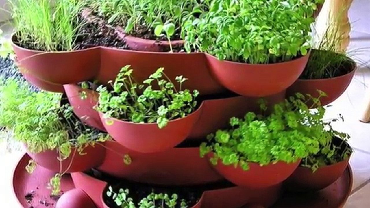 ОГОРОД НА КУХНЕ ! СУПЕР-ИДЕИ: УКРОП, ЛУК &CO НА ПОДОКОННИКЕ. #oldenburg.ru Урожайный огород