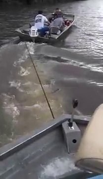 Assommé par une bière lancée par son pote, ce gars fini la tête dans l'eau