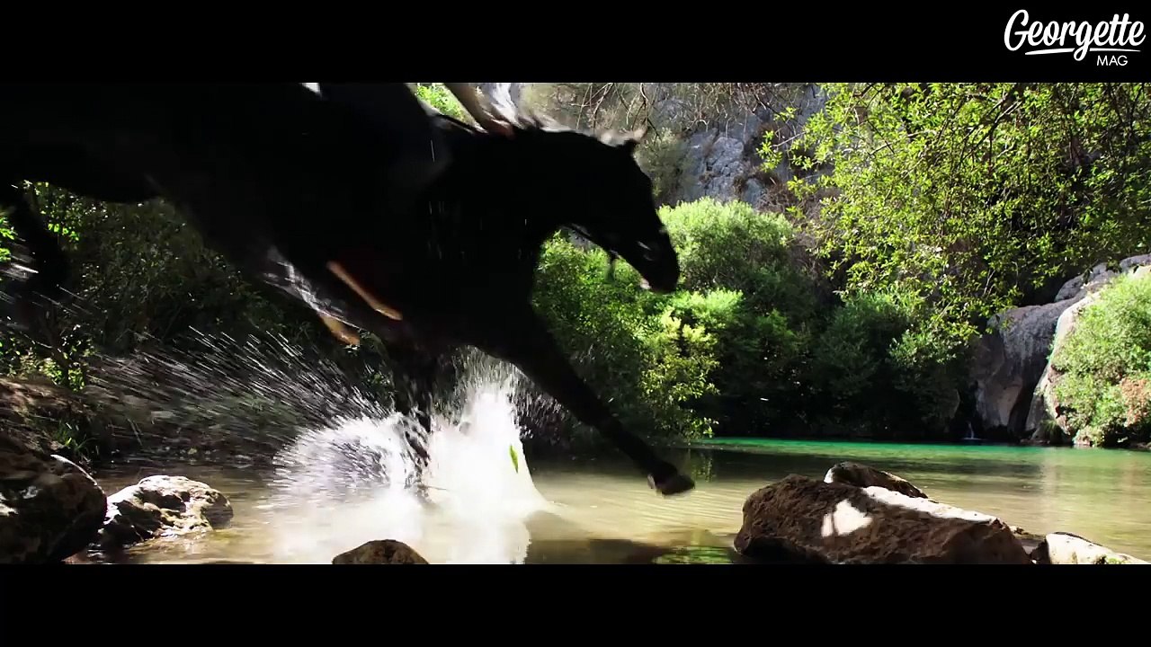 #EquestrianLife : FILM I Whisper 3, la chevauchée sauvage