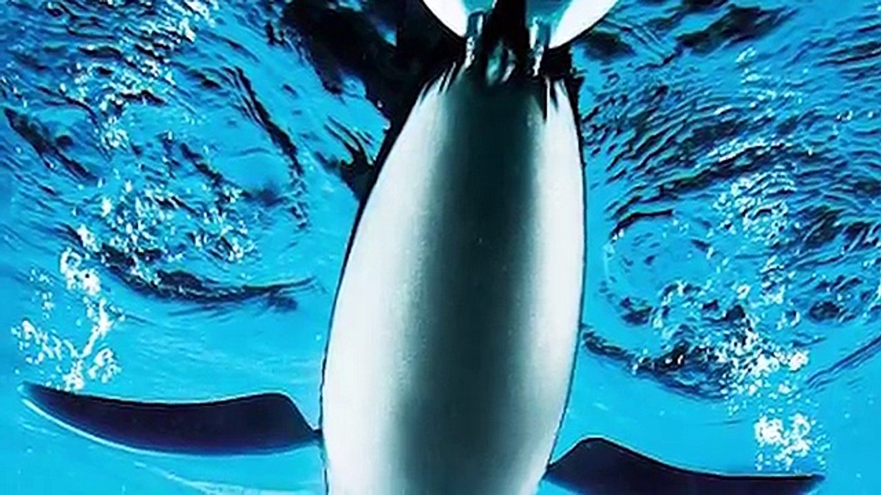11 Weird Artificial Animals