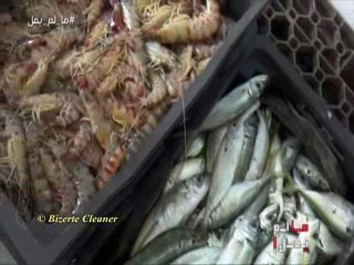 لماذا أسعار الأسماك صارت باهظة جدّا في تونس؟