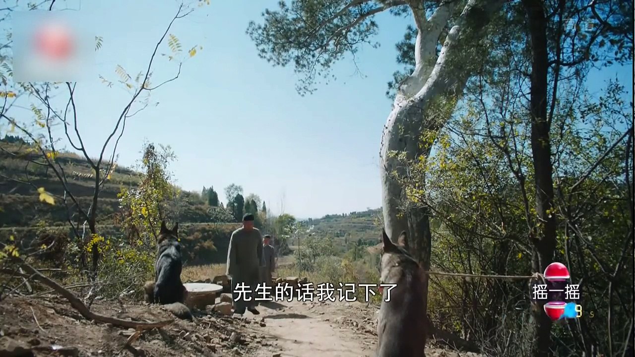 白鹿原 |  White Deer 33【TV版】（張嘉譯、秦海璐、何冰等主演）