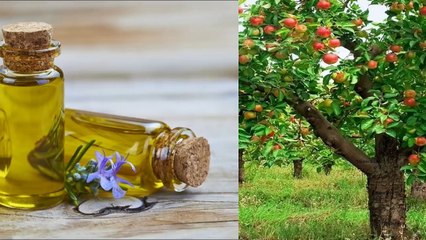 96.Mysterious Facts of Multiple Personality  Urdu_Hindi