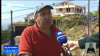 Início da Época de Colheita da Cana-de-Açúcar