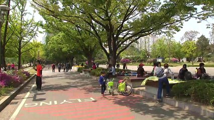 [날씨] 주말도 초여름 날씨...미세먼지·오존 유의 / YTN