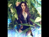 Kaira Advani Hot Pics| Mahesh's Heroine hot pics | Bharat Ane Nenu actress spicy pics