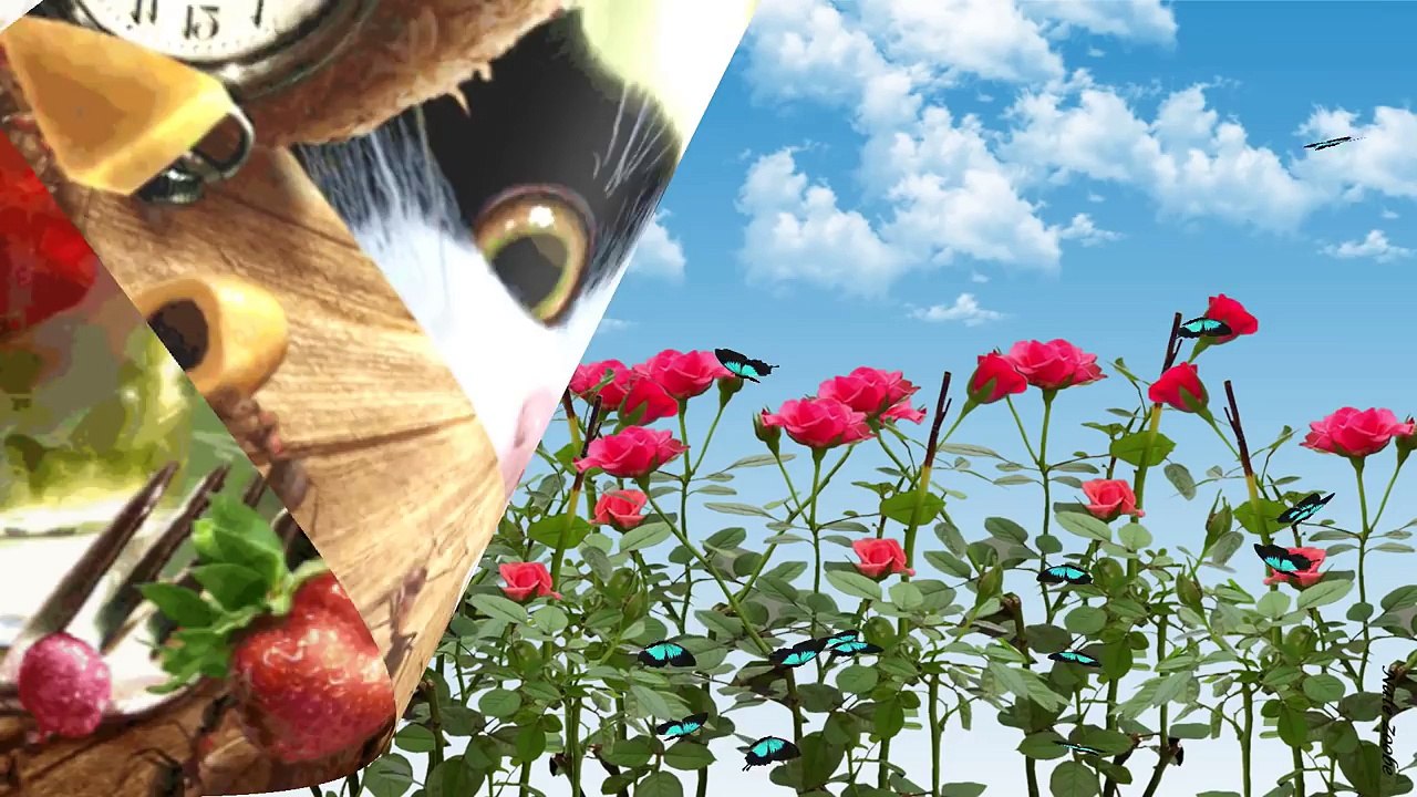 Ich wünsche dir ein Wochenende voller Sonnenschein  und guter Laune Liebe Grüße von mir