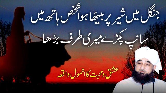 Muhammad Raza Saqib Mustafai - Jungle Me Shair Pr Betha Hova Shakhs Hath Me Sanp Pakre Meri Taraf Barha