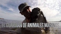 El guardián de los animales marinos en Uruguay