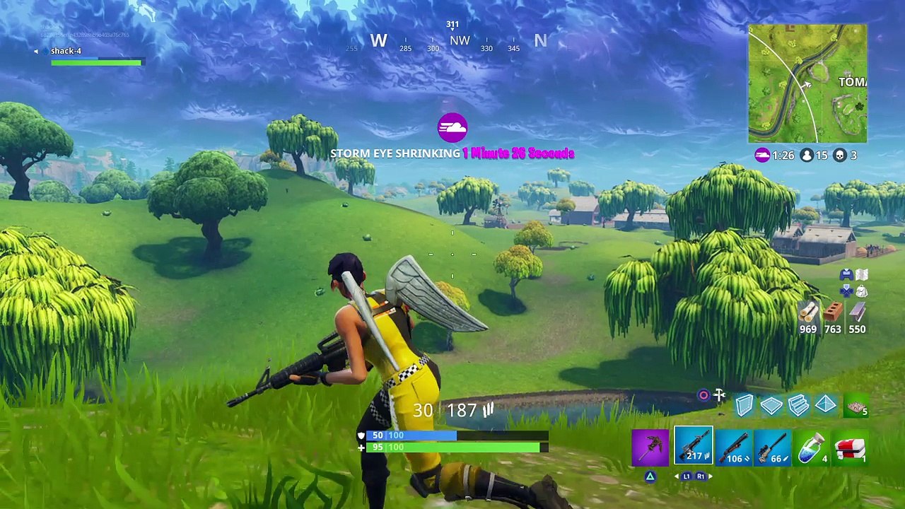 Dirty snipe