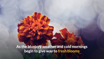 three-self-care-tips-to-look-great-this-spring