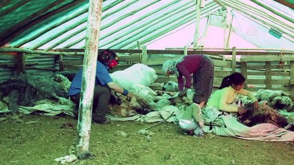 Göçerlerin asırlardır süren çileli yolculuğu - ELAZIĞ