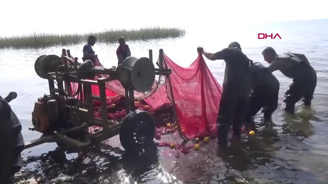 Bursa-İznik Gölü'nde Gümüş Balığı Bereketi-Hd
