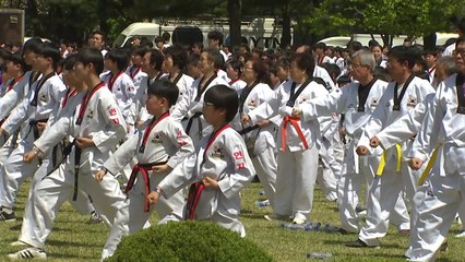 8천여 명 태권도 품새 시연...세계기록 도전 성공 / YTN
