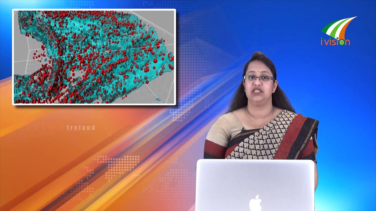 ലോകത്തിലെ ഏറ്റവും ചിലവേറിയ കേക്ക് നിർമിച്ചു ദുബായിലെ Ivision Ireland Malayalam News 35