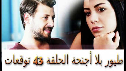 مسلسل طيور بلا أجنحة الحلقة 43 توقعات ومصير دليل زينب