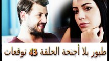 مسلسل طيور بلا أجنحة الحلقة 43 توقعات ومصير دليل زينب