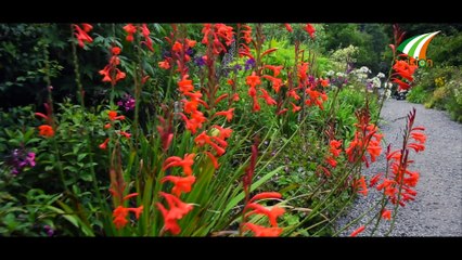 അയർലണ്ടിലെ പൂങ്കാവന ദീപ്‌ Garnish Island Glengarriff West Cork Ireland by Ivision Ireland