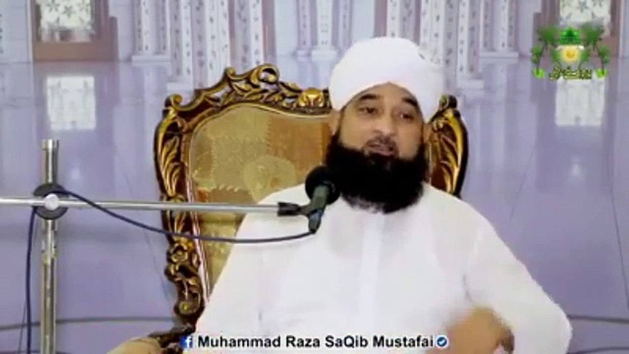 Muhammad Raza Saqib Mustafai (304)
