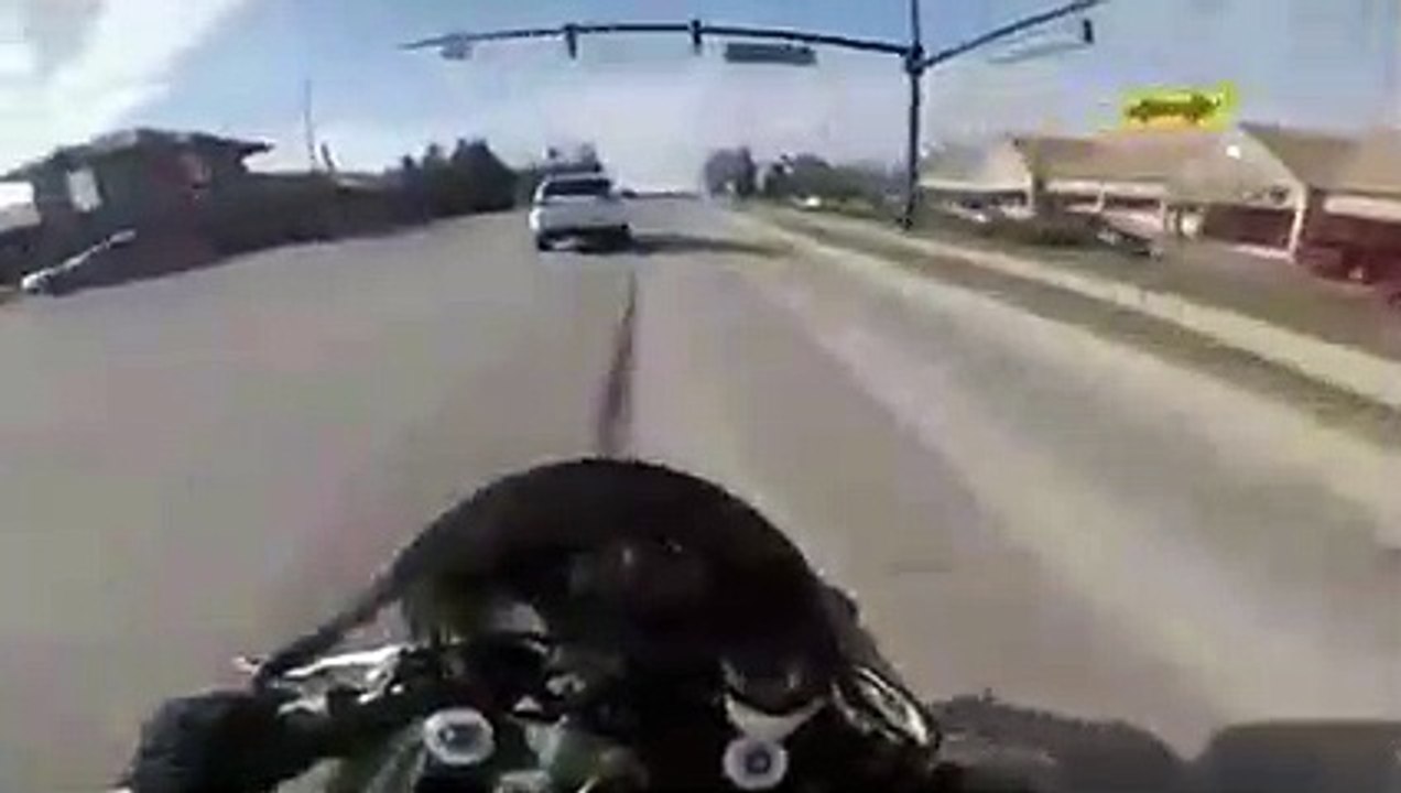 Un motard lancé à pleine vitesse voit un chien traverser juste devant lui