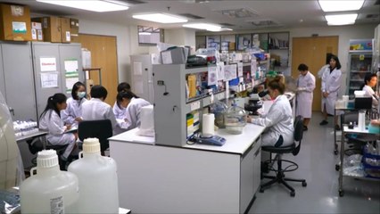 هذا الصباح-فقاعات الصابون قد تكون أملا لعلاج أمراض الدماغ