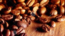Fresh Roasted Coffee Beans for Sale UK