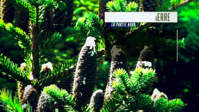 Saint-Pierre et Miquelon : Les chemins de traverse (Bande annonce)