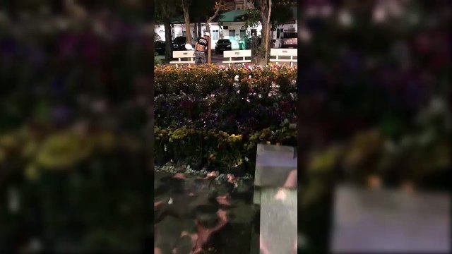 Thanh niên nửa đêm đi diệt muỗi giúp thế giới phòng chống sốt xuất huyết