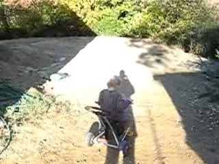 Une petite promenade dans le jardin