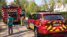 Les pompiers à la recherche d'un serpent dans le Bois de Mariomont