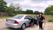Surprise en train d'abandonner ses 4 chiens sur un parking de San Antonio, au Texas