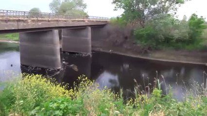 Karadere, Kirliliği ve Pis Kokusuyla Alarm Veriyor