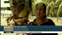 El Salvador se esfuerza por proteger sus manglares