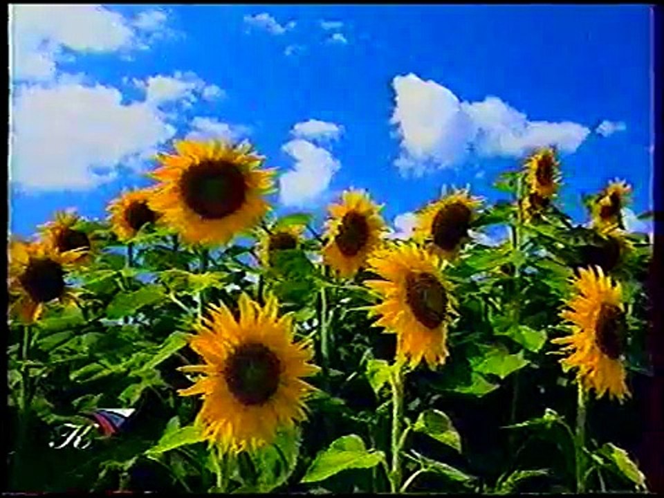 (staroetv.su) Вместе с Фафалей (Культура, 11.10.2001) Фрагмент