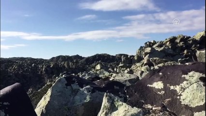 Ağrı'da kırmızı listedeki PKK'lı terörist etkisiz hale getirildi