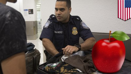 Free airline apple costs woman $500 after she doesn't declare it