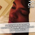JoeyS­tarr publie une photo de Karine Le Marchand au lit